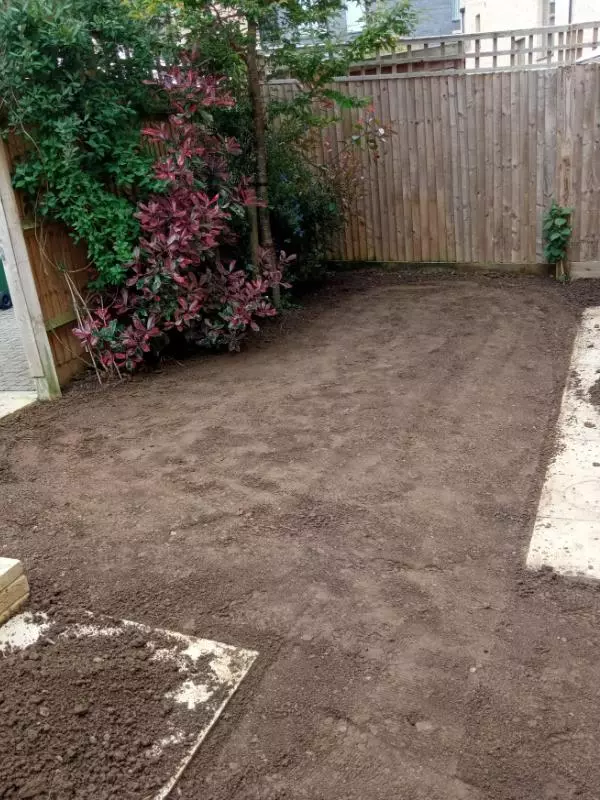 bare-yard-before-landscape-design.jpg